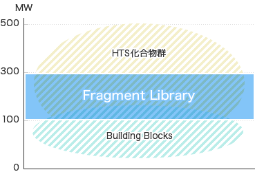 Fragment Library​