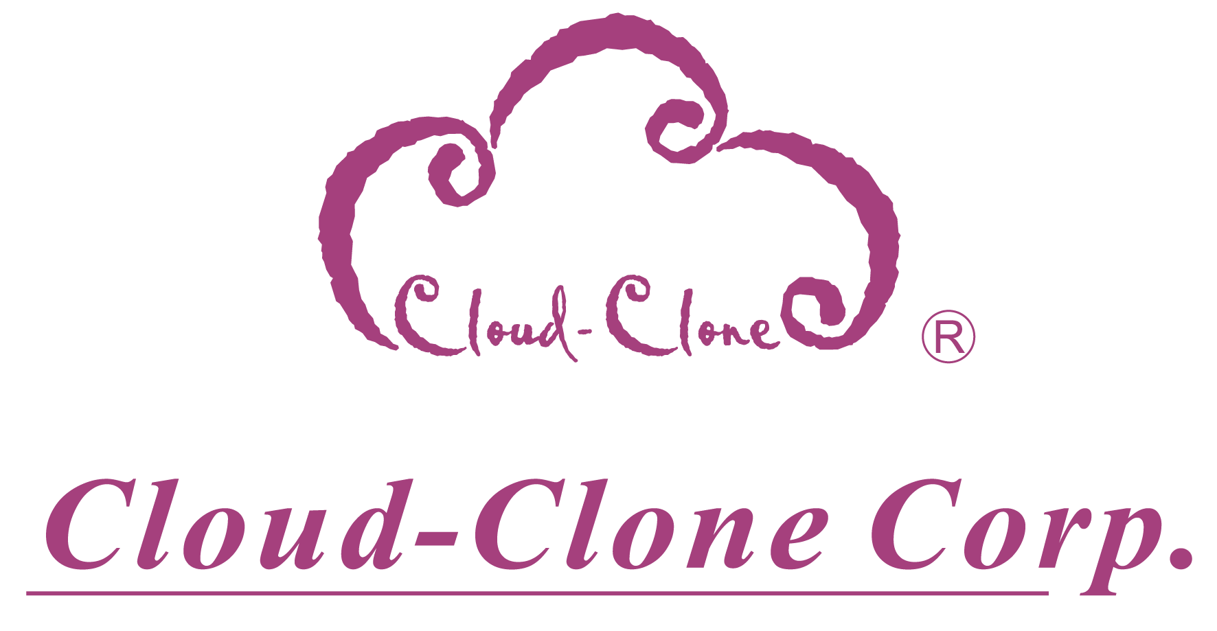 CLOUD-CLONE 