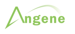 Angene International(アンジーン　インターナショナル)