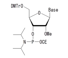 2'-OME