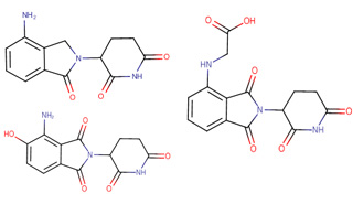 Thalidomide based E3-binder