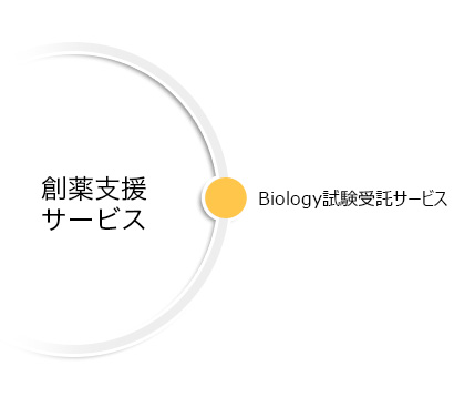 創薬支援サービス（秤量・溶解サービス/法規制チェックサービス/輸入代行/in silico screening/in vitro ADME assay/Biology Services）