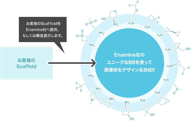 Enamine社のユニークなBBを使って誘導体をデザイン＆合成!!