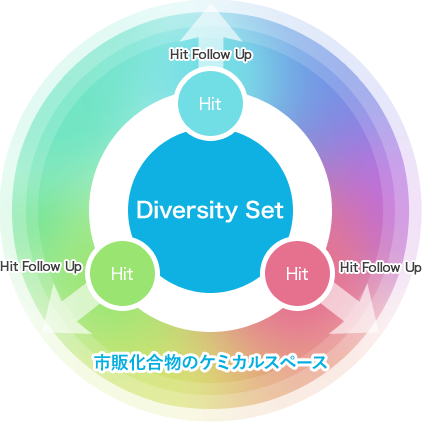 Diversity Setとは