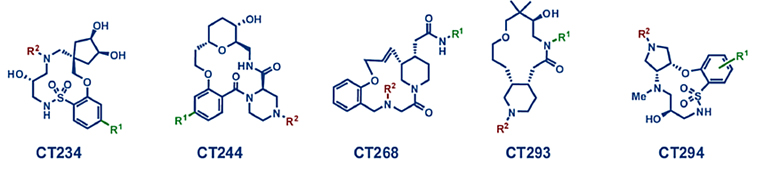 在庫品Macrocyclic Library