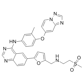HY-10531構造式