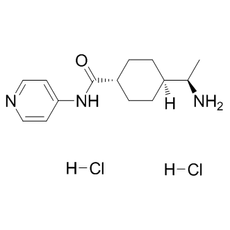 HY-10583構造式