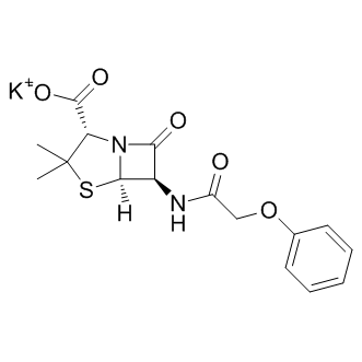 Penicillin V Potassium 132 98 9 ナミキ商事株式会社