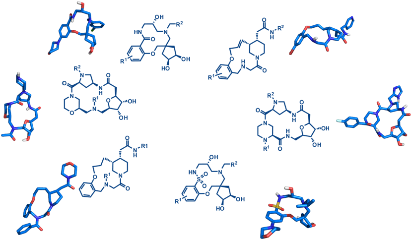 MACROx: Next Generation Macrocycles