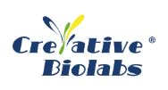 Creative Biolabs 