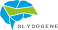 GLYCOGENE